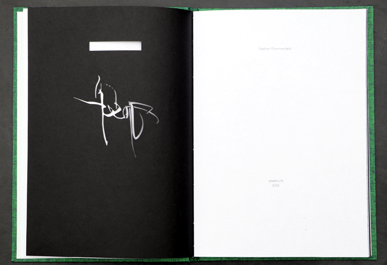 artistbook papercuts