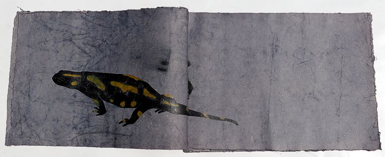 artistbook by Leonhardt