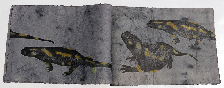 artistbook by Leonhardt