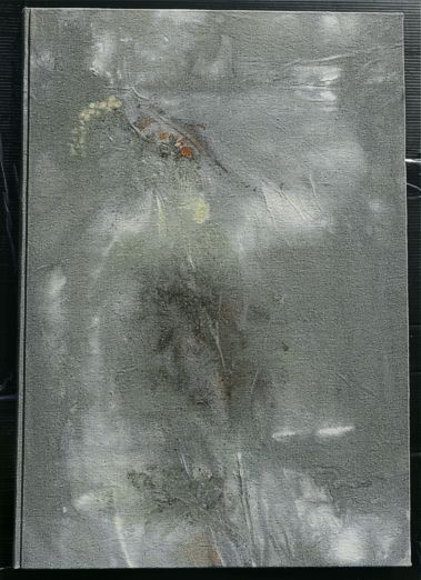 Ecodyeing Kuenstlerbuch