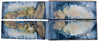 artist book ecodyed