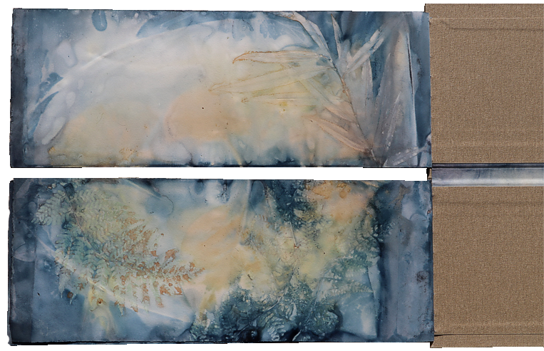 Ecodyed Water lilly artist book