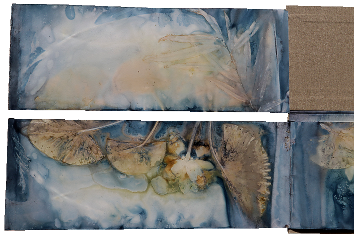 Ecodyed Water lilly artist book
