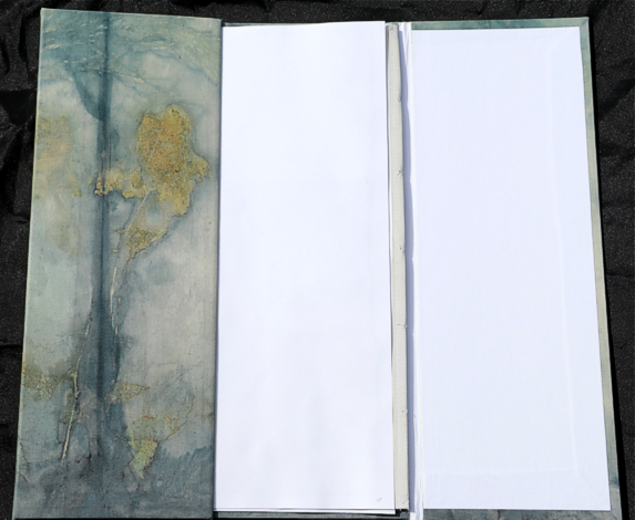 Artistbook Kuenstlerbuch TanjaLeonhardt